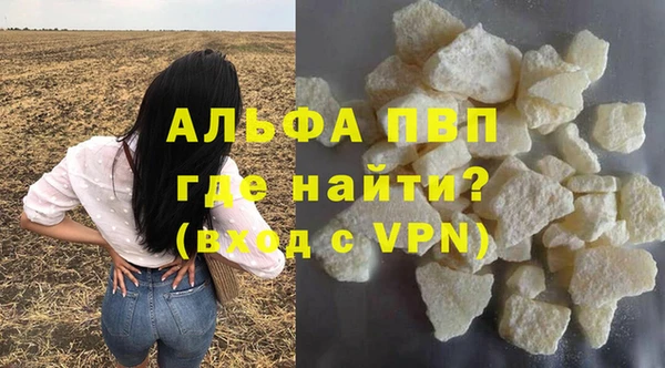 сатива Верея