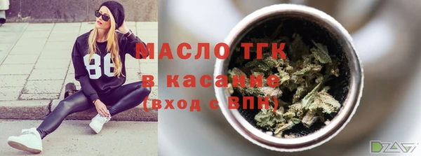 сатива Верея