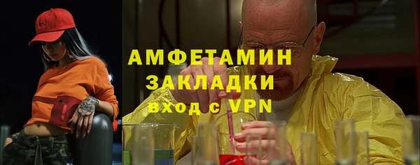 сатива Верея