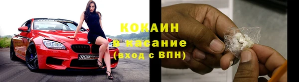 сатива Верея