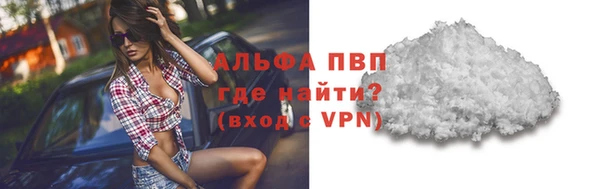 сатива Верея