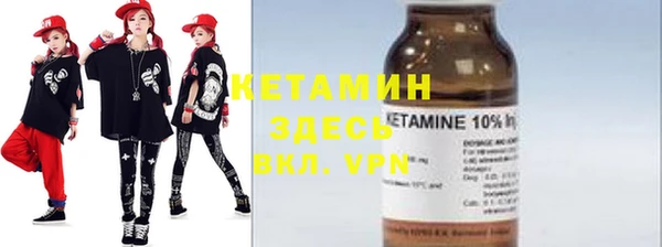сатива Верея